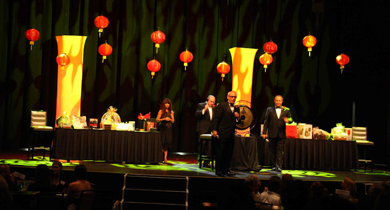 Annual Chinese Auction - 'Year of the Tiger'