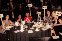 30th Anniversary Chinese Auction Fundraiser